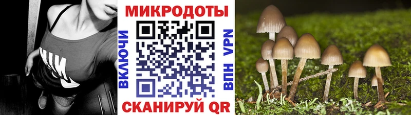 Псилоцибиновые грибы MAGIC MUSHROOMS  как найти   Бавлы 